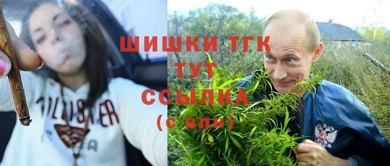 Названия наркотиков Баксан COCAIN  Конопля  Псилоцибиновые грибы  A PVP  ГАШ  МЕФ 